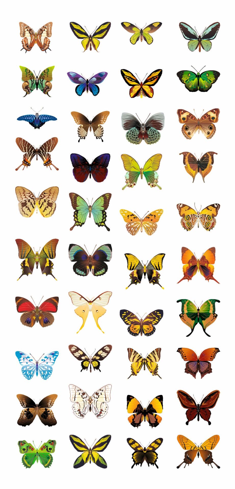 Trendonline Kelebek Geçici Vücut Dövmesi